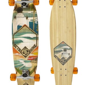 Sector 9 Swamis